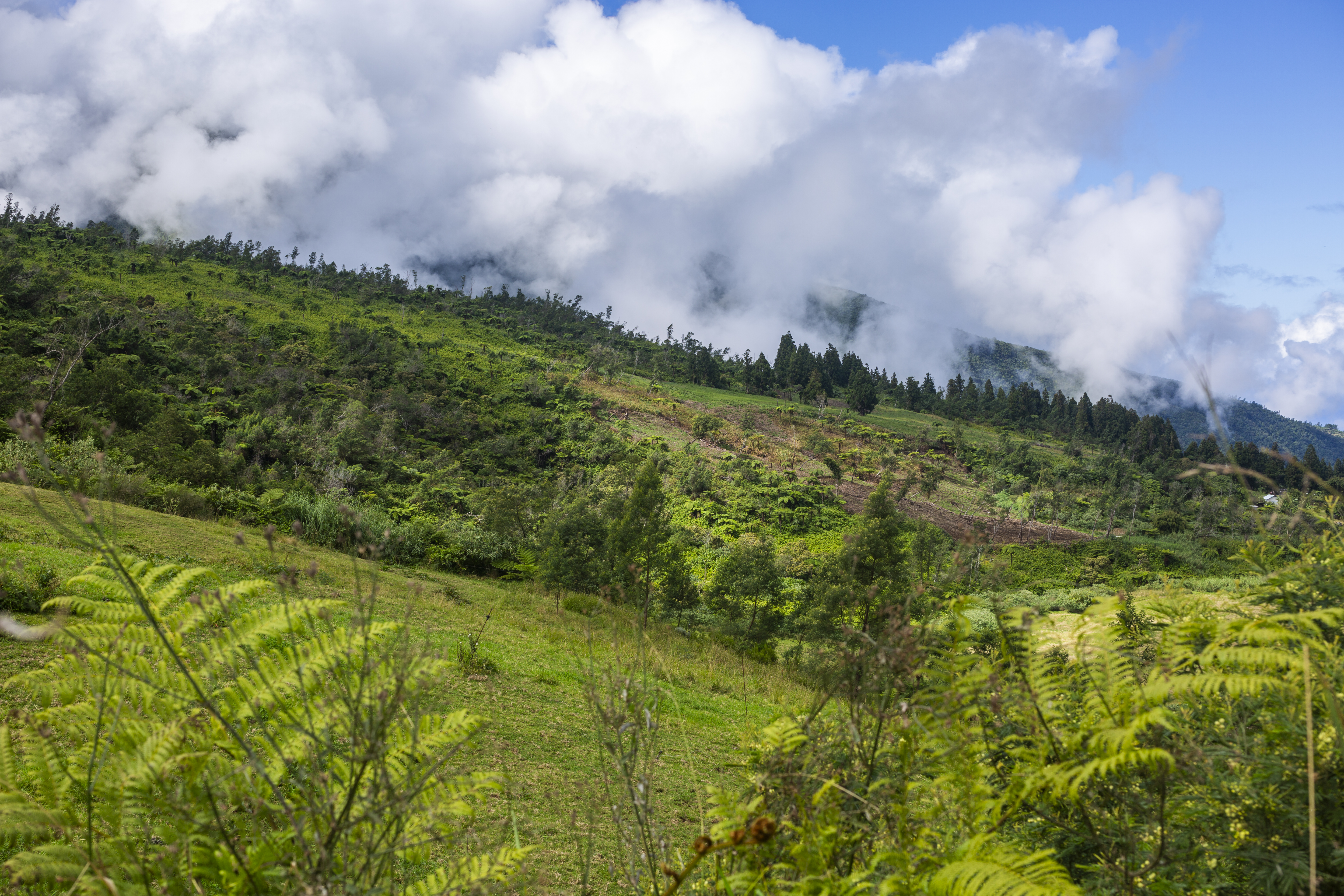 Landscape of Grand Coude, La Réunion